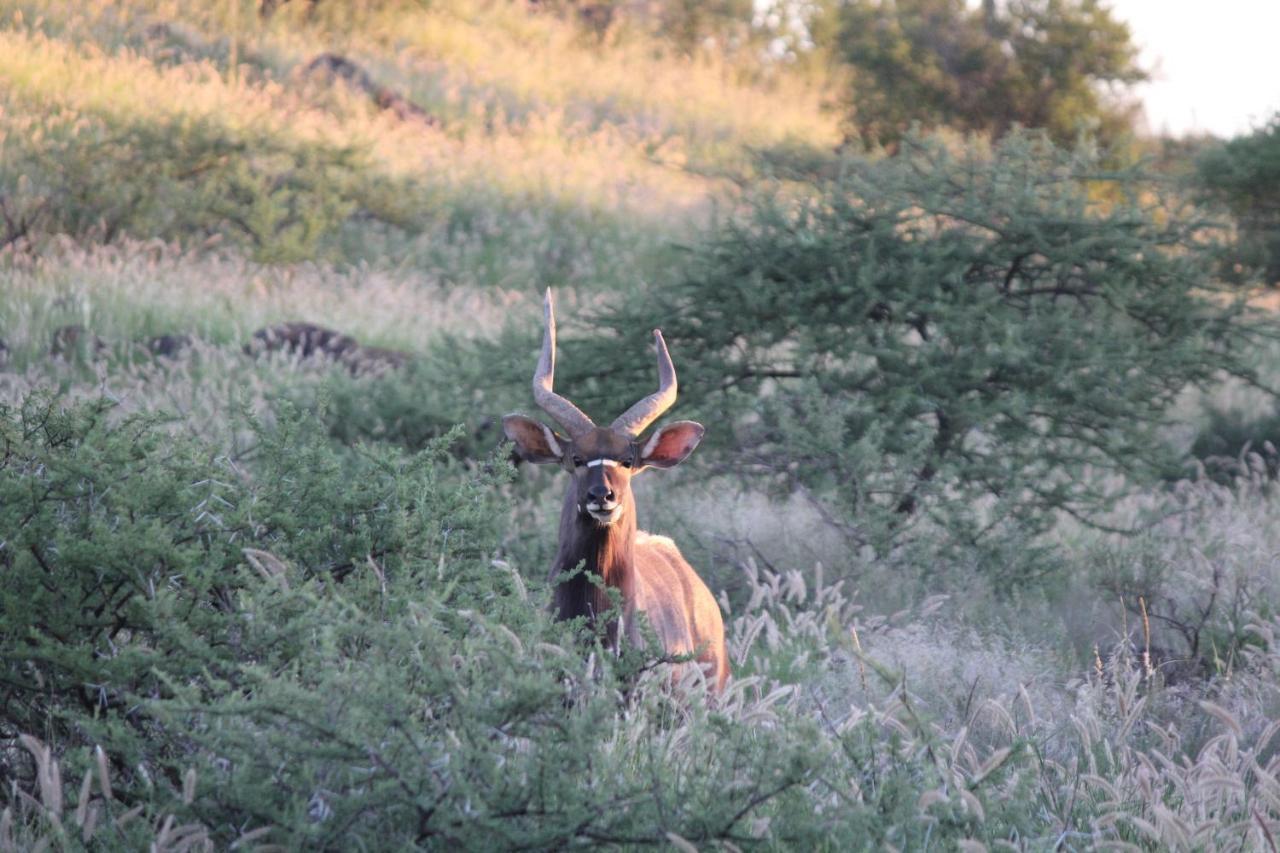 Wag N Bietjie Bush Lodge Heuningneskloof Zewnętrze zdjęcie