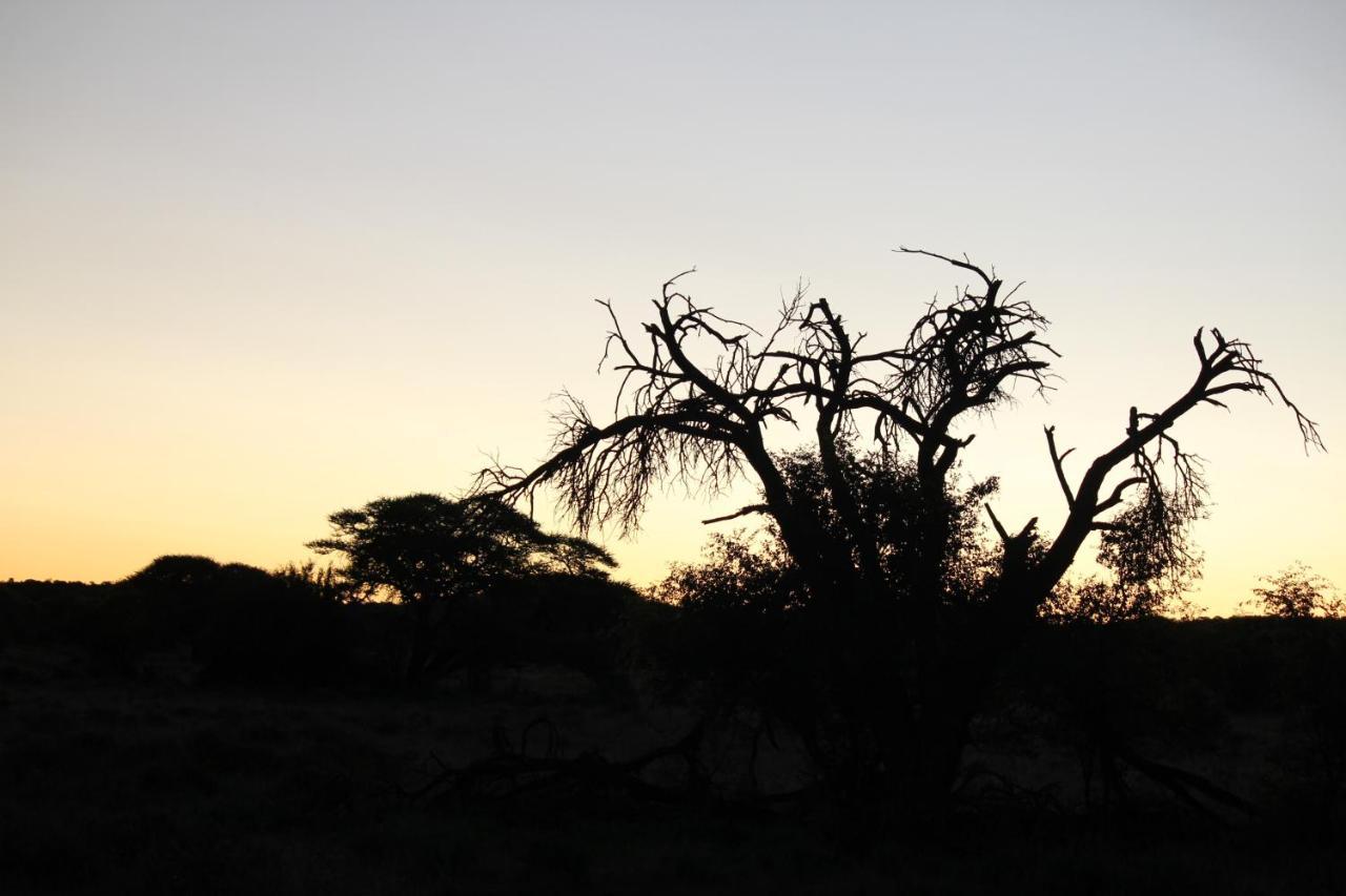 Wag N Bietjie Bush Lodge Heuningneskloof Zewnętrze zdjęcie